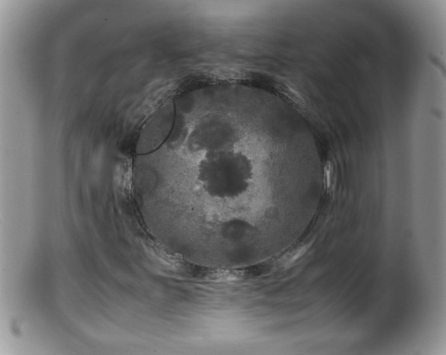 X0000099491251200805151358