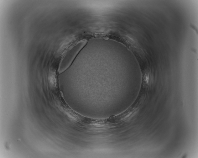 X0000099491252200805151358