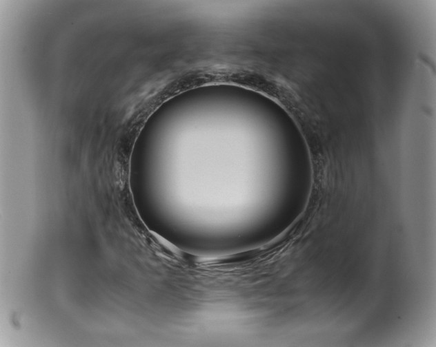 X0000099491253200805151358