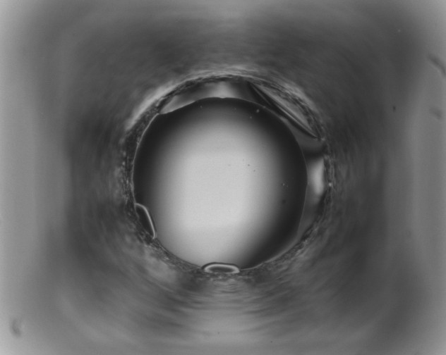 X0000099491256200805151358