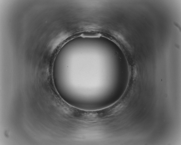 X0000099491261200805151358
