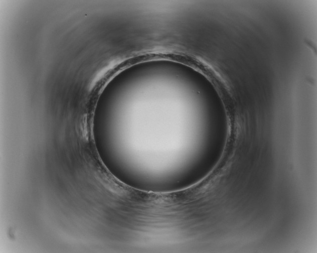 X0000099491262200805151358