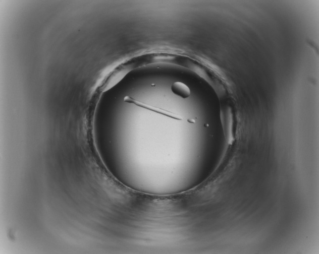 X0000099491264200805151358