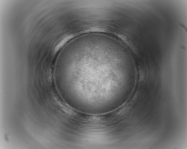 X0000099491266200805151358
