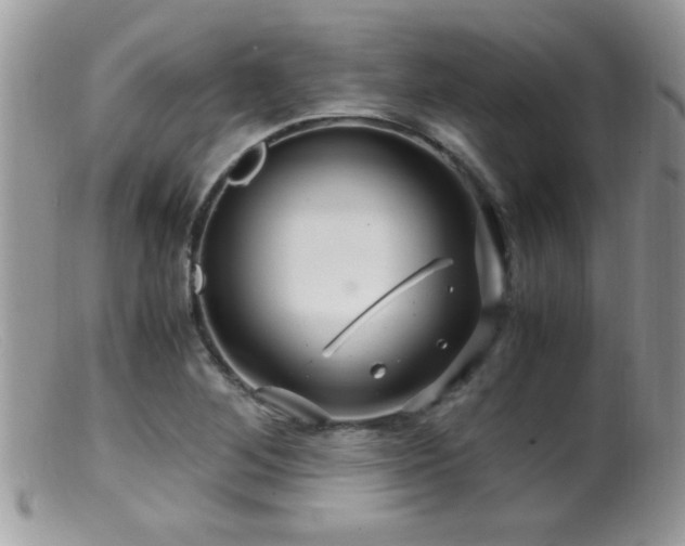 X0000099491268200805151358