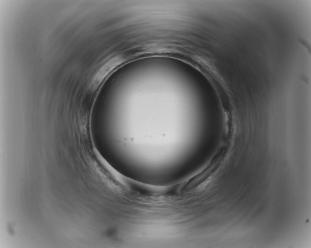 X0000099491273200805151358