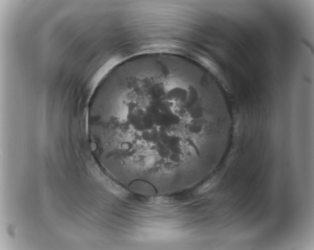X0000099491275200805151358
