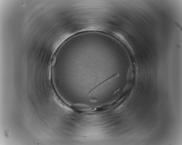X0000099491276200805151358