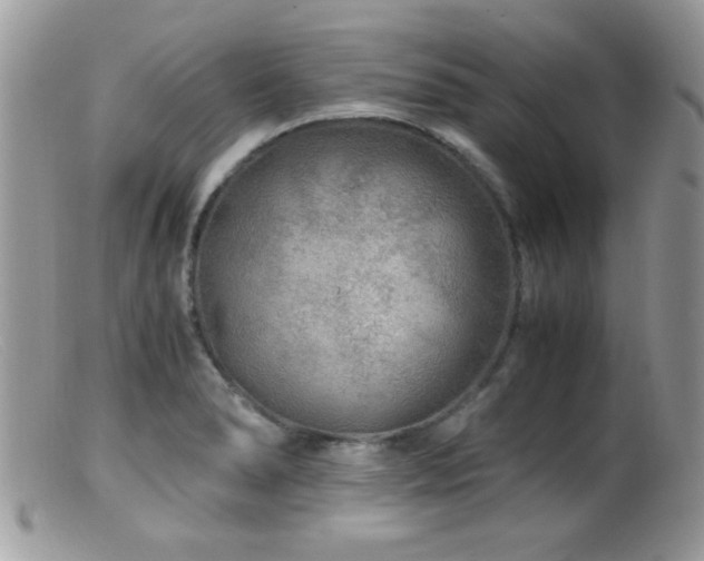 X0000099491278200805151358