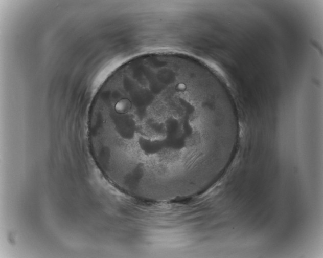 X0000099491279200805151358