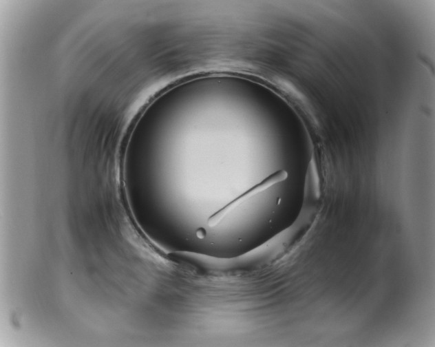 X0000099491280200805151358