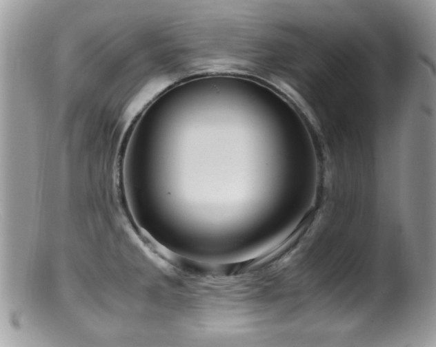 X0000099491285200805151358