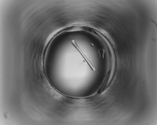 X0000099491288200805151358