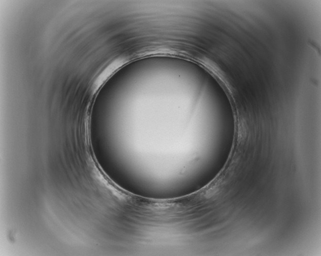 X0000099491290200805151358
