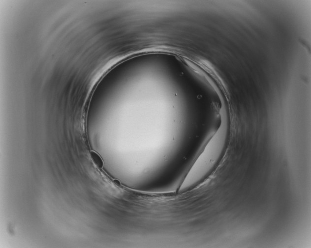 X0000099491292200805151358