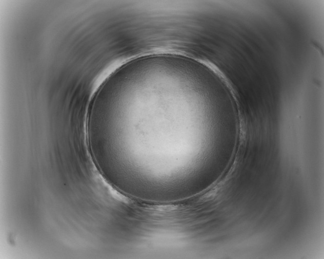 X0000099491294200805151357