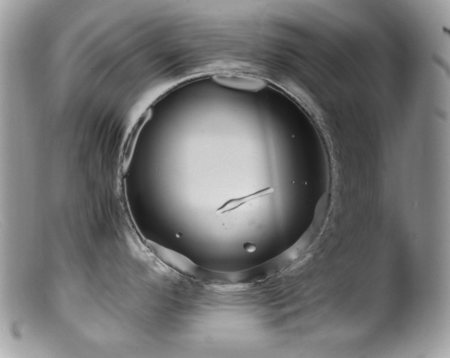 X0000099491296200805151357