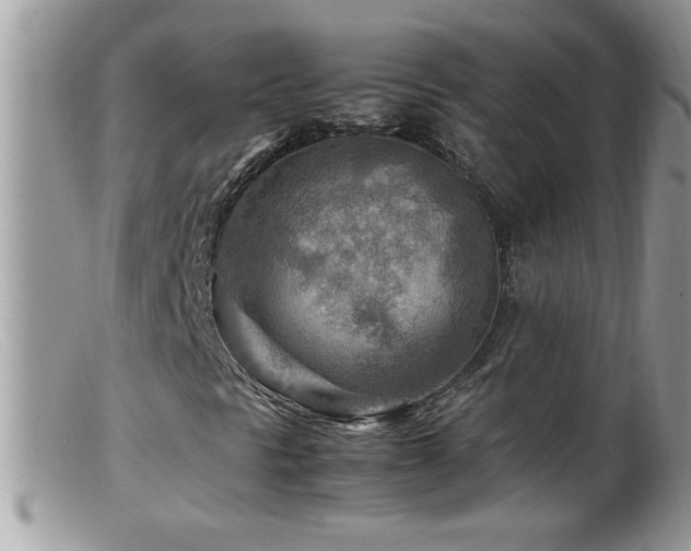 X0000099491297200805151357