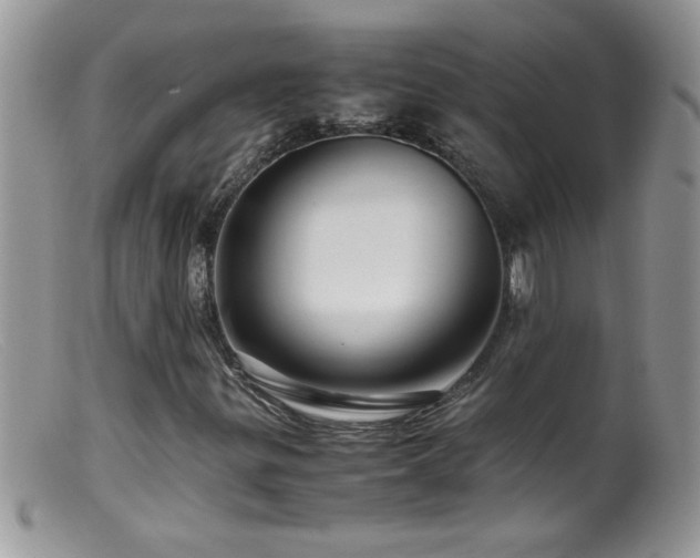 X0000099491299200805151357