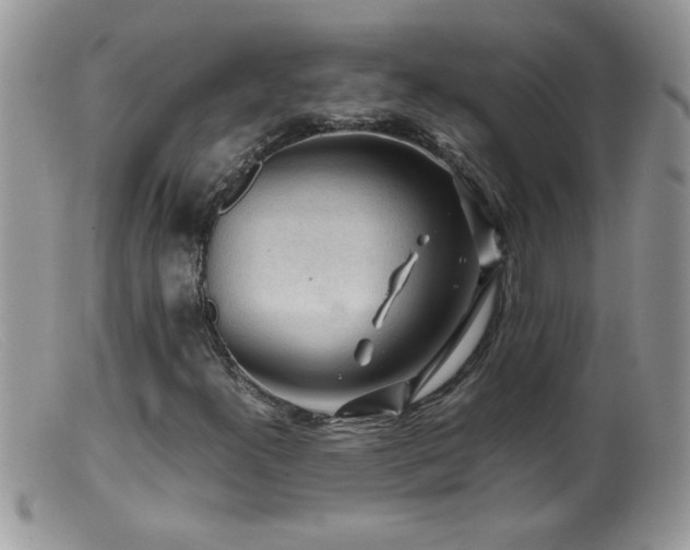 X0000099491300200805151357