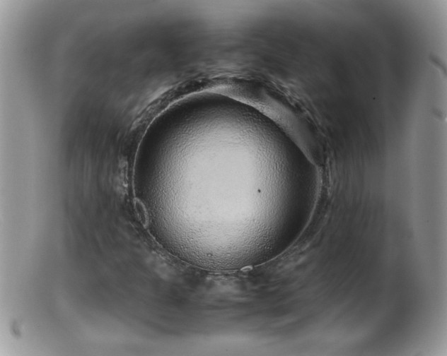 X0000099491301200805151357