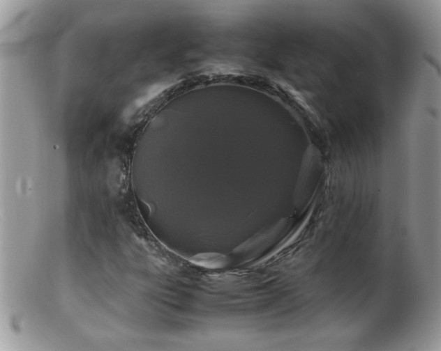 X0000099491303200805151357