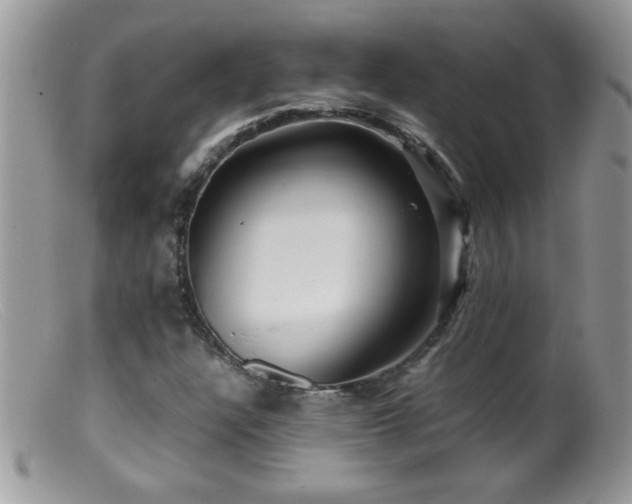 X0000099491304200805151357