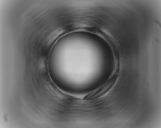X0000099491305200805151357