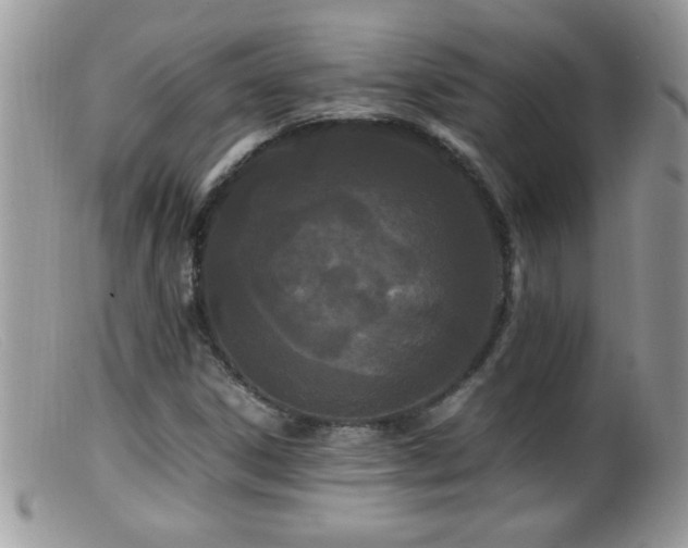 X0000099491306200805151357