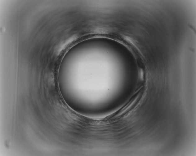 X0000099491307200805151357