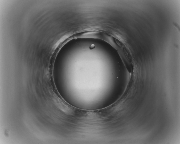 X0000099491308200805151357
