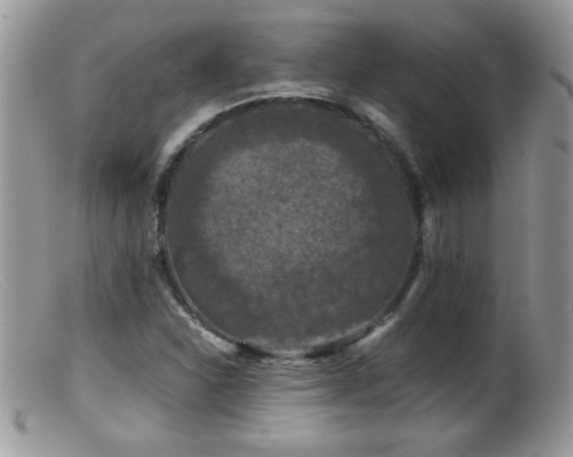 X0000099491310200805151357