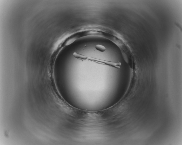 X0000099491312200805151357