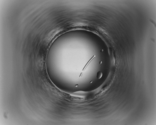 X0000099491313200805151357