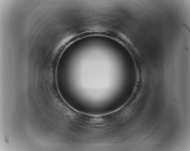 X0000099491315200805151357