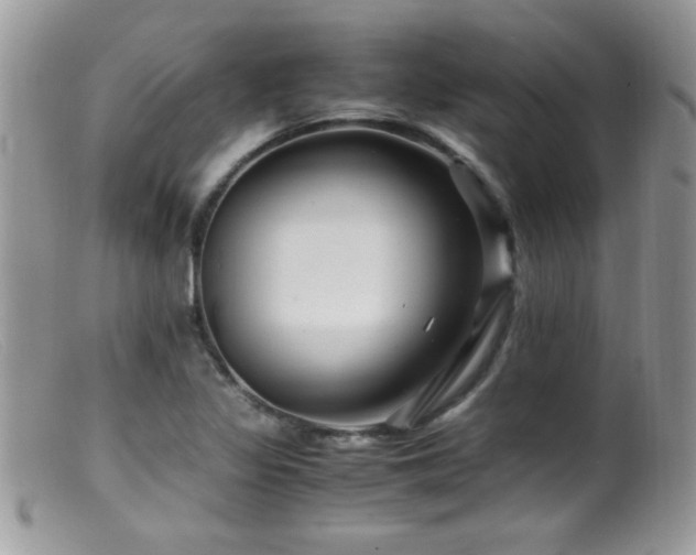 X0000099491317200805151357