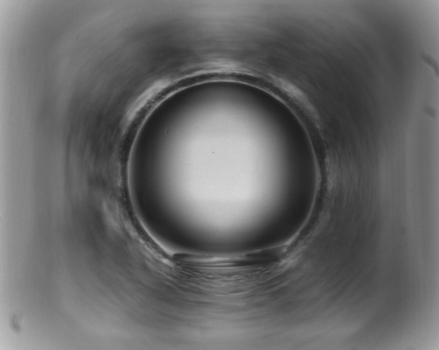 X0000099491318200805151357