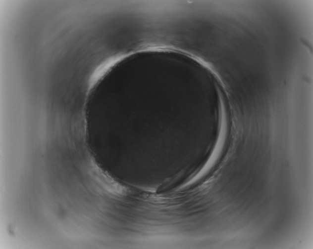 X0000099491319200805151357