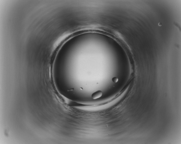 X0000099491320200805151357