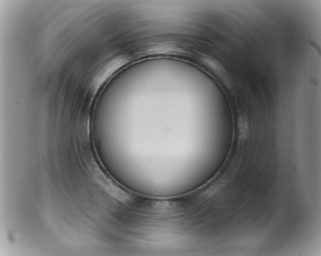 X0000099491322200805151357