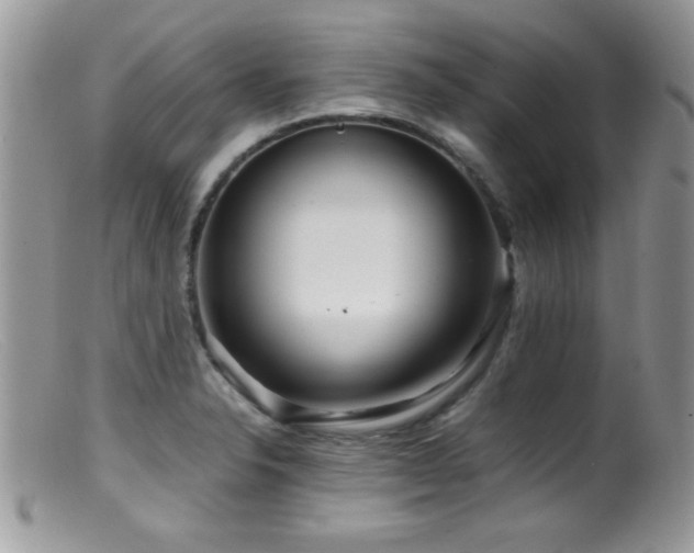 X0000099491326200805151357