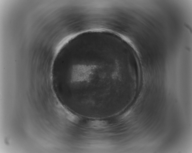 X0000099491327200805151357