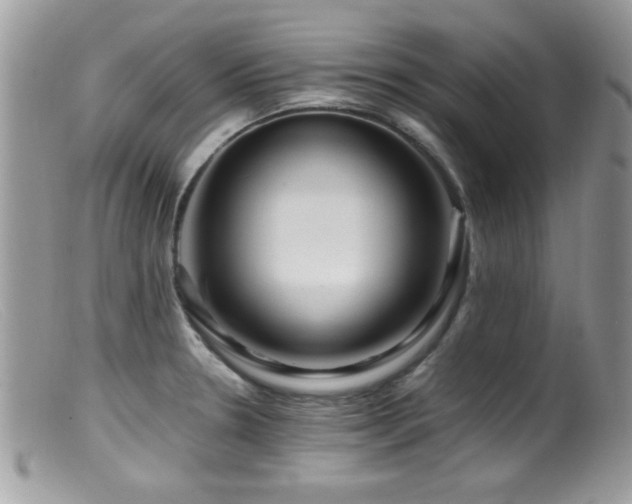 X0000099491330200805151357