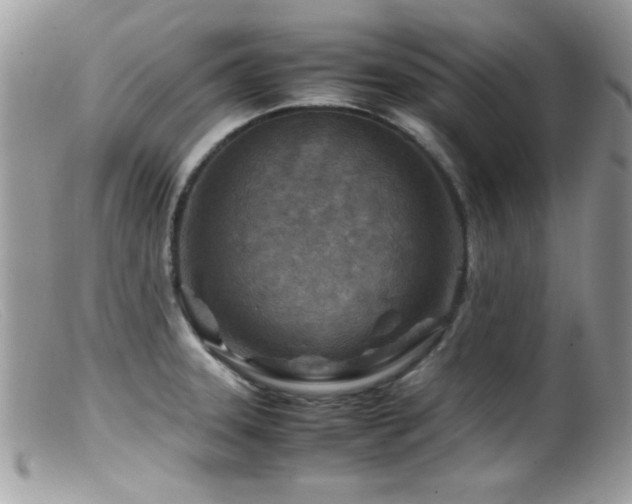 X0000099491331200805151357