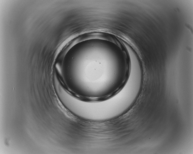 X0000099491332200805151357