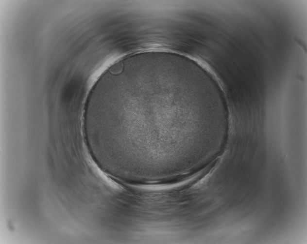 X0000099491333200805151357