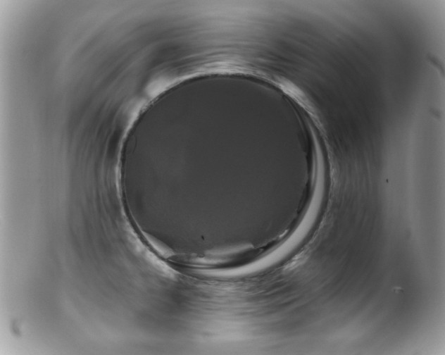 X0000099491334200805151357