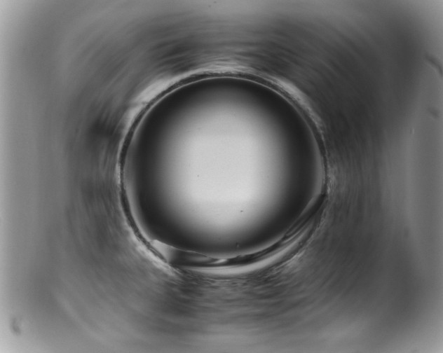 X0000099491335200805151357