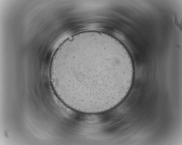 X0000099491338200805151357