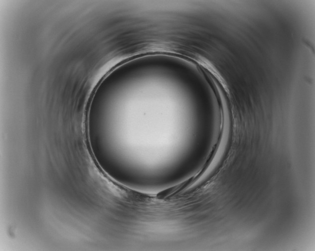 X0000099491339200805151357